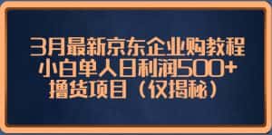 （5277期）3月最新京东企业购教程，小白单人日利润500+撸货项目（仅揭秘）-优优云创网