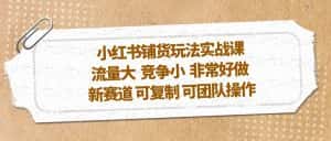 (5291期)小红书铺货玩法实战课,流量大 竞争小 非常好做 新赛道 可复制 可团队操作-优优云创网