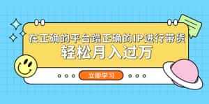 (5325期)在正确的平台蹭正确的IP进行带货,轻松月入过万-优优云创网