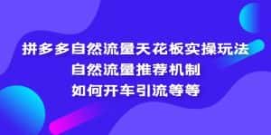 (5327期)拼多多自然流量天花板实操玩法:自然流量推荐机制,如何开车引流等等-优优云创网