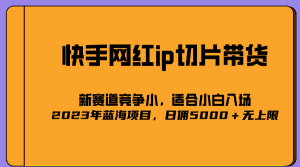 （5346期）2023爆火的快手网红IP切片，号称日佣5000＋的蓝海项目，二驴的独家授权-优优云创网