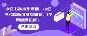 （5352期）小红书私域引流课，小红书引流私域成交秘籍，1个月加爆私域！-优优云创网