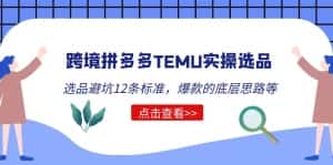 （5402期）跨境拼多多TEMU实操选品运营方法，选品避坑12条标准，爆款的底层思路等-优优云创网