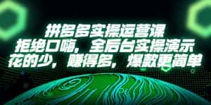 (5423期)拼多多实操运营课:拒绝口嗨,全后台实操演示,花的少,赚得多,爆款更简单-优优云创网