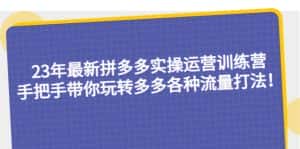 （5435期）23年最新拼多多实操运营训练营：手把手带你玩转多多各种流量打法！-优优云创网