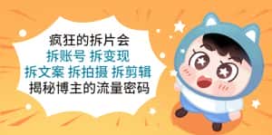 （5489期）疯狂的拆片会：拆账号 拆变现 拆文案 拆拍摄 拆剪辑  揭秘博主的流量密码-优优云创网