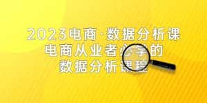 (5495期)2023电商·数据分析课,电商·从业者必学的数据分析课程(42节课)-优优云创网