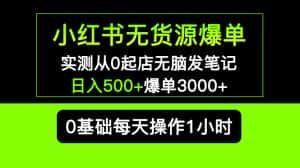 (5494期)小红书无货源爆单 实测从0起店无脑发笔记 日入500+爆单3000+长期项目可多店-优优云创网