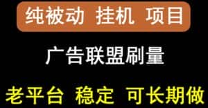【稳定挂机】oneptp出海广告联盟挂机项目，每天躺赚几块钱，多台批量多赚些-优优云创网
