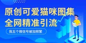 (5498期)黑科技纯原创可爱猫咪图片,全网精准引流,实操5个VX号被加频繁-优优云创网