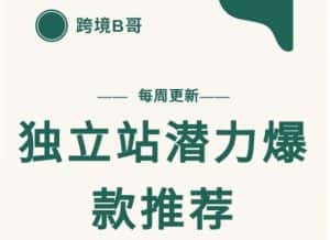 【跨境B哥】独立站潜力爆款选品推荐,测款出单率高达百分之80-优优云创网