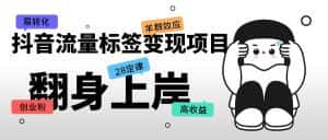(5514期)抖音流量标签变现项目,抖音创业粉轻松转化,单价高收益简单-优优云创网