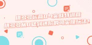 (5521期)拼多多运营0-1实战特训营,拼多多从0础到进阶的可实操玩法!-优优云创网