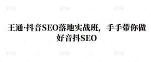 王通·抖音SEO落地实战班,手手带你做好音抖SEO-优优云创网