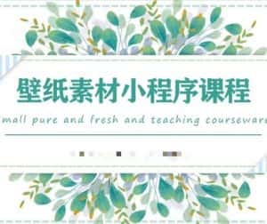 闪闪壁纸号运营教程,抓住图文风口,快速吸粉变现-优优云创网