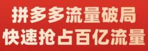 阿杰·拼多多流量破局:如何打黑标，爆款的思路，拼多多流量框架，快速抢占百亿流量-优优云创网