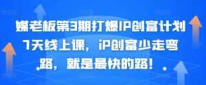 媒老板第3期打爆IP创富计划7天线上课，iP创富少走弯路，就是最快的路！-优优云创网