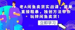 老A闲鱼卖货实战课，简单直接粗暴，独创方法带你玩转闲鱼卖货！-优优云创网