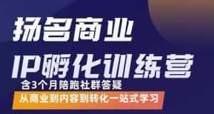 杨名商业IP孵化训练营,从商业到内容到转化一站式学 价值5980元-优优云创网