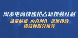 （5538期）淘系电商快速抢占短视频红利：流量解析 内容创作 渠道投放 爆款数据分析等-优优云创网