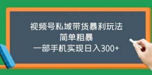 (5544期)视频号私域带货暴利玩法,简单粗暴,一部手机实现日入300+-优优云创网