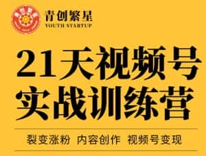 张萌21天视频号实战训练营，裂变涨粉、内容创作、视频号变现 价值298元-优优云创网