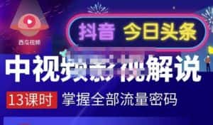 嚴如意·中视频影视解说—掌握流量密码,自媒体运营创收,批量运营账号-优优云创网