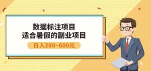 副业赚钱:人工智能数据标注项目,简单易上手,小白也能日入200+-优优云创网
