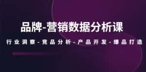 (5565期)品牌-营销数据分析课,行业洞察-竞品分析-产品开发-爆品打造-优优云创网