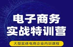 民赛电气内部出品:电子商务实战特训营,全方位带你入门电商,308种方式玩转电商-优优云创网