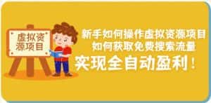 新手如何操作虚拟资源项目:如何获取免费搜索流量,实现全自动盈利!-优优云创网