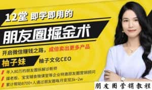 【营销必学】12堂学之即用的朋友圈掘金术:开启你的副业赚钱之路-优优云创网