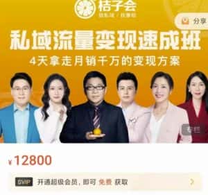 桔子会·私域流量变现速成班，4天拿走月销千万的变现方案 价值12800元-优优云创网