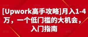 [Upwork高手攻略]月入1-4万，一个低门槛的大机会，入门指南-优优云创网