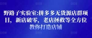 野路子实验室:拼多多无货源店群项目,新店破零,老店拯救等全方位教你打造店铺-优优云创网