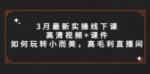 （5597期）3月最新实操线下课高清视频+课件，如何玩转小而美，高毛利直播间-优优云创网
