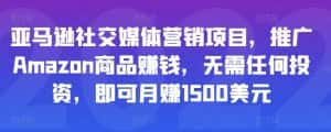 亚马逊社交媒体营销项目,推广Amazon商品赚钱,无需任何投资,即可月赚1500美元-优优云创网