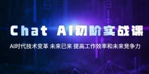 (5610期)Chat AI初阶实战课,AI时代技术变革 未来已来 提高工作效率和未来竞争力-优优云创网