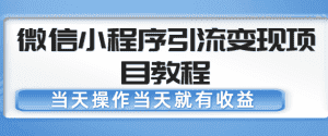 微信小程序引流变现项目教程,当天操作当天就有收益,变现不再是难事-优优云创网