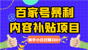 百家号暴利内容补贴项目,图文10元一条,视频30一条,新手小白日赚300+-优优云创网
