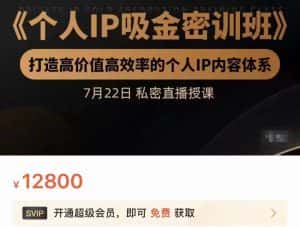 个人IP吸金密训班,打造高价值高效率的个人IP内容体系(价值12800元)-优优云创网
