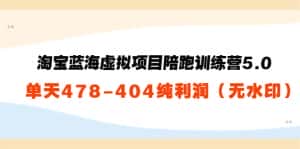淘宝蓝海虚拟项目陪跑训练营5.0：单天478纯利润-优优云创网
