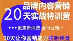 《内容营销实操特训营》20天让你营销能力脱胎换骨(价值3999)-优优云创网
