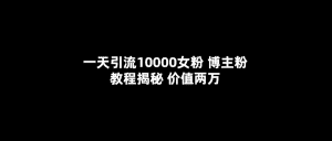 （5647期）一天引流10000女粉，博主粉教程揭秘（价值两万）-优优云创网