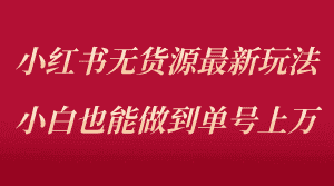 (5646期)小红书无货源最新螺旋起号玩法,电商小白也能做到单号上万(收费3980)-优优云创网