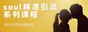 soul精准引流系列课程,每天引流100精准粉-优优云创网