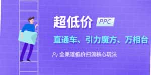 （5659期）2023超低价·ppc—“直通车、引力魔方、万相台”全渠道·低价扫流核心玩法-优优云创网