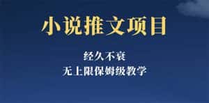 (5666期)经久不衰的小说推文项目,单号月5-8k,保姆级教程,纯小白都能操作-优优云创网