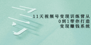 11天视频号变现训练营,从0到1打造变现赚钱系统(价值398元)-优优云创网