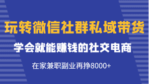 玩转微信社群私域带货，学会就能赚钱的社交电商，在家兼职副业再挣8000+-优优云创网